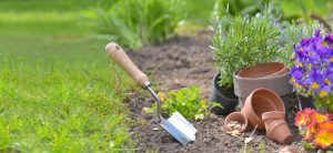 shovel planted soil garden flowerpots 1